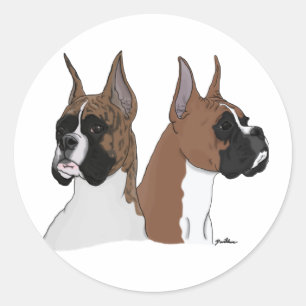 Boxer hundar runt klistermärke
