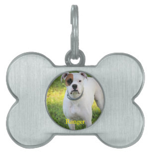 Boxer ID-bricka Husdjur