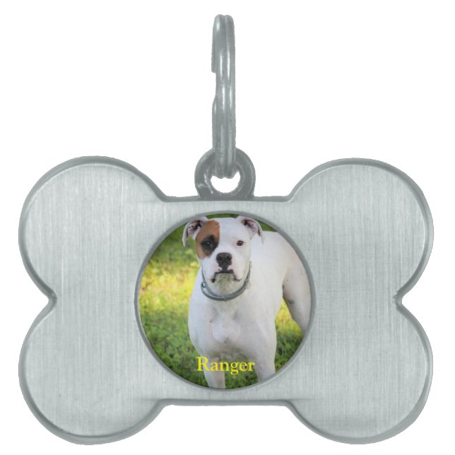 Boxer ID-bricka Husdjur (Framsidan)