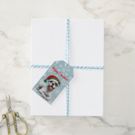 Boxer Jingle All the Way Jul Presentetikett
