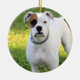 Boxer Julgransprydnad Keramik