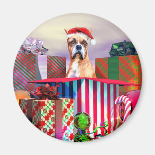 Boxer-julöverraskning Magnet