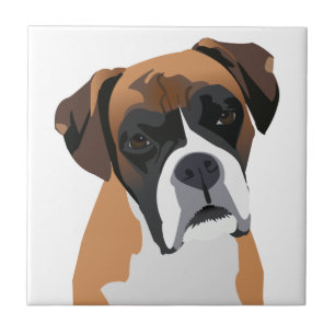 Boxer Kakelplatta