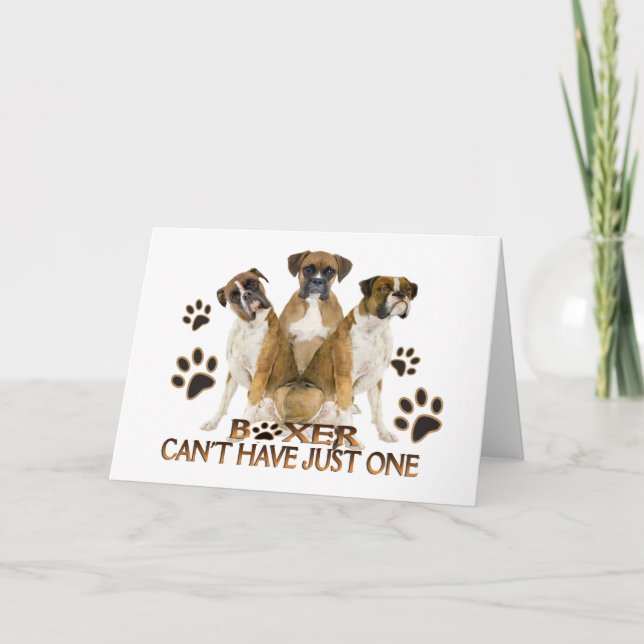 Boxer kan inte bara ha ett kort (Framsida)