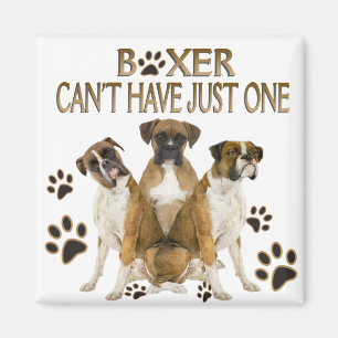 Boxer kan inte ha bara en gåva magnet