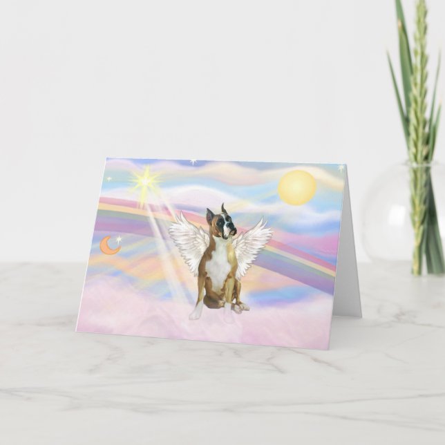 Boxer Kort (Framsida)