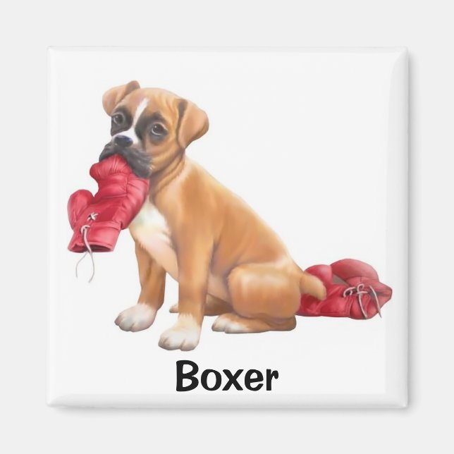 Boxer Magnet (Framsidan)