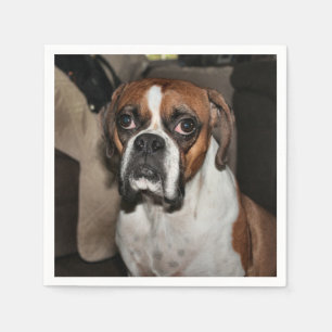 Boxer Pappersservett
