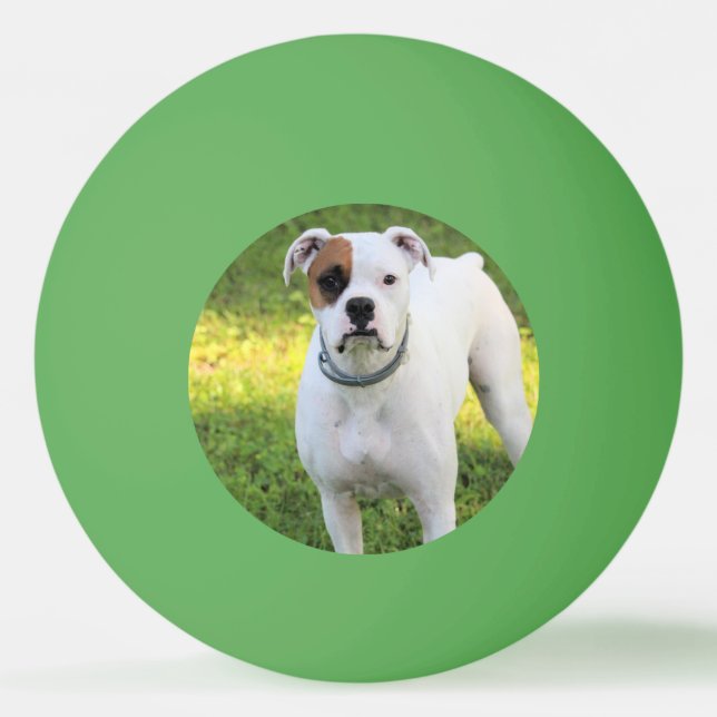 Boxer Pingisboll (Framsidan)