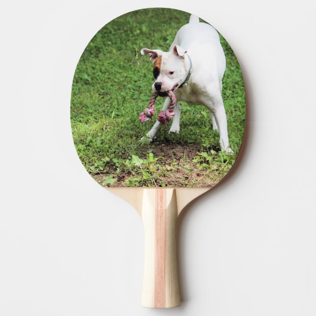Boxer Pingisracket (Framsidan)