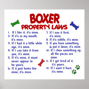 BOXER PL2 POSTER