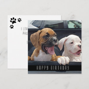 Boxer Puppies Grattis på födelsedagen Hundar Medde Meddelande