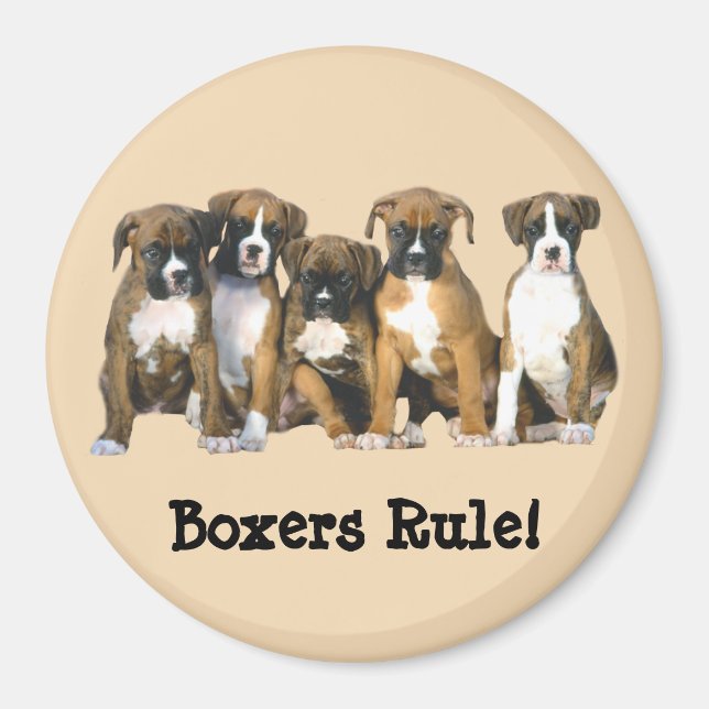 Boxer Puppies Magnet (Framsidan)