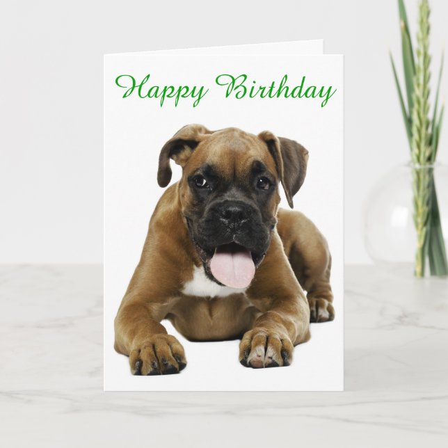 Boxer Puppy Hund Grattis på födelsedagen Card - Ve Kort (Framsida)