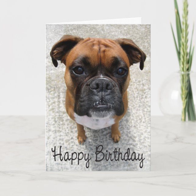 Boxer Puppy Hund Grattis på födelsedagen Card - Ve Kort (Framsida)