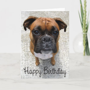 Boxer Puppy Hund Grattis på födelsedagen Card - Ve Kort