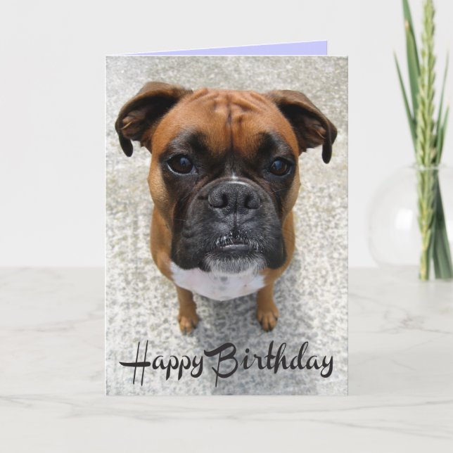 Boxer Puppy Hund Grattis på födelsedagen Card - Ve Kort (Framsida)
