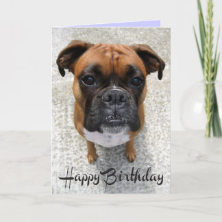 Boxer Puppy Hund Grattis på födelsedagen Card - Ve Kort