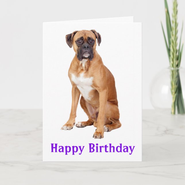 Boxer Puppy Hund Grattis på födelsedagen Card - Ve Kort (Framsida)