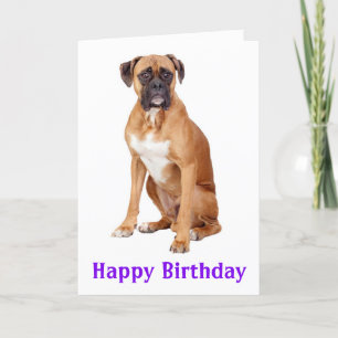 Boxer Puppy Hund Grattis på födelsedagen Card - Ve Kort