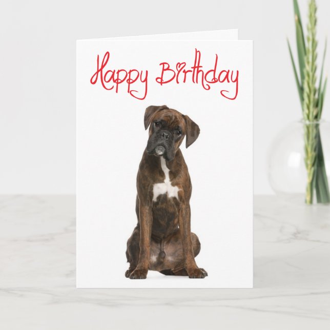 Boxer Puppy Hund Grattis på födelsedagen Card - Ve Kort (Framsida)