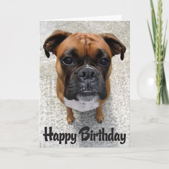 Boxer Puppy Hund Grattis på födelsedagen Card - Ve Kort (Framsida)