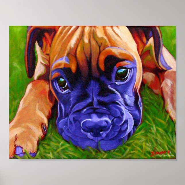 Boxer Puppy Poster (Framsidan)