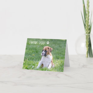 Boxer Pupy Hund - tackkort - Boxer Hund