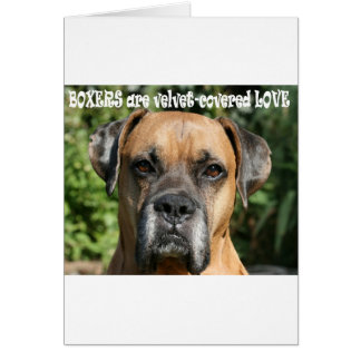 Boxer: Sammetspäckad Kärlek Hälsningskort
