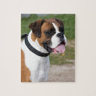 Boxer Sitta Pussel