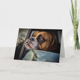 Boxer Smeller ett BBQ-kort Kort