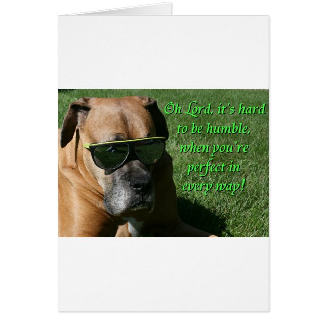 Boxer: Svår att vara ödmjuk Hälsningskort (Framsidan)