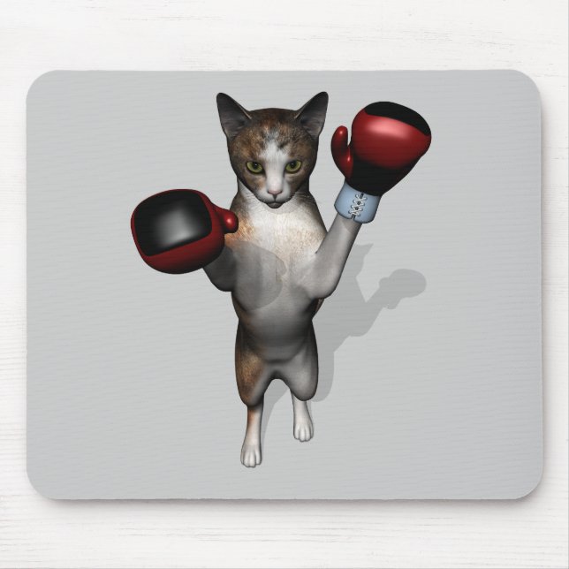 Boxer Tabby Musmatta (Framsidan)