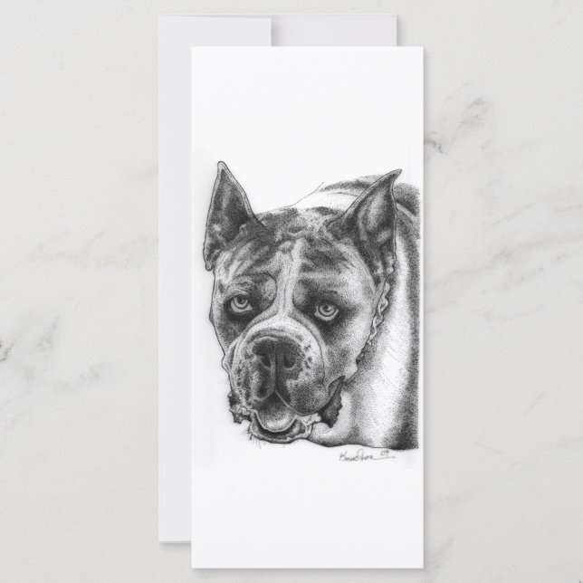 Boxer Teckning (Framsida)