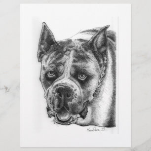 Boxer Teckning Reklamblad