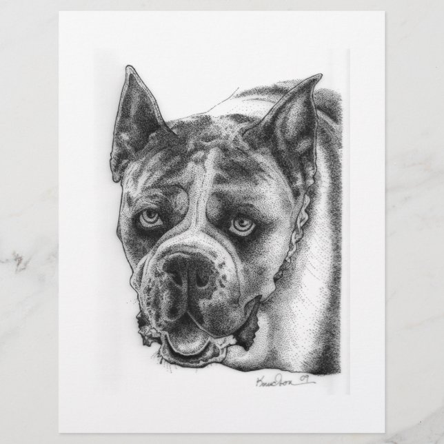 Boxer Teckning Reklamblad (Framsidan)