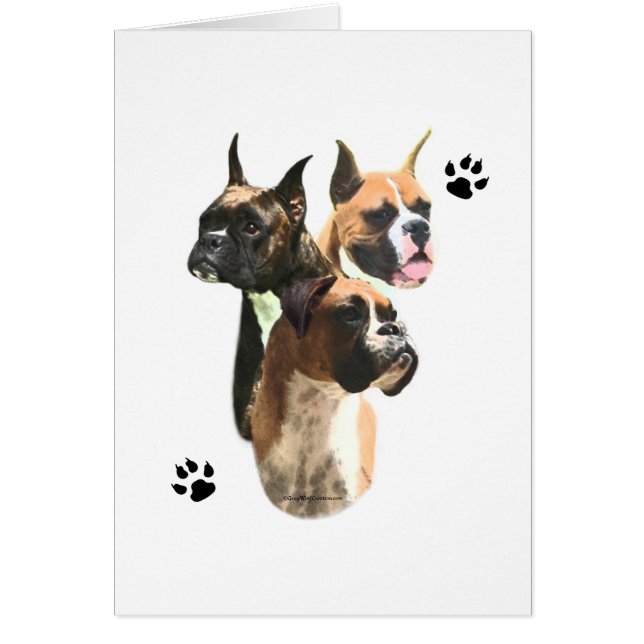 Boxer Trio Hälsningskort (Framsidan)