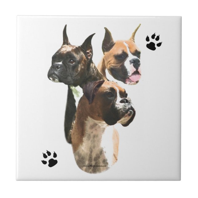 Boxer Trio Kakelplatta (Framsidan)