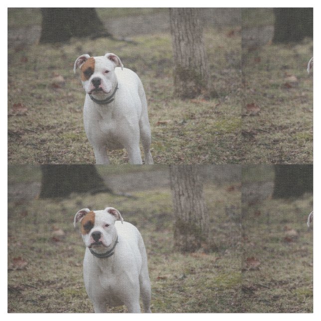 Boxer Tyg (Närbild)