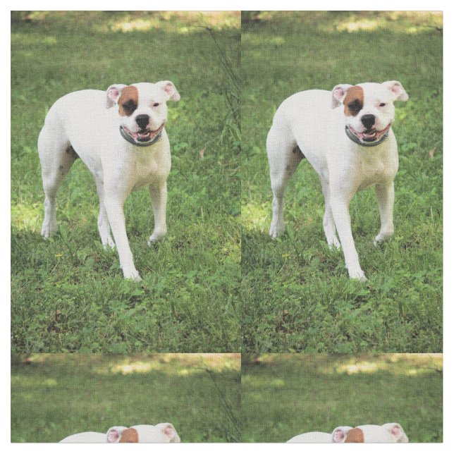 Boxer Tyg (Närbild)