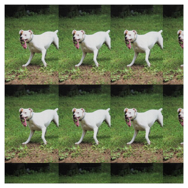 Boxer Tyg (Provkarta)