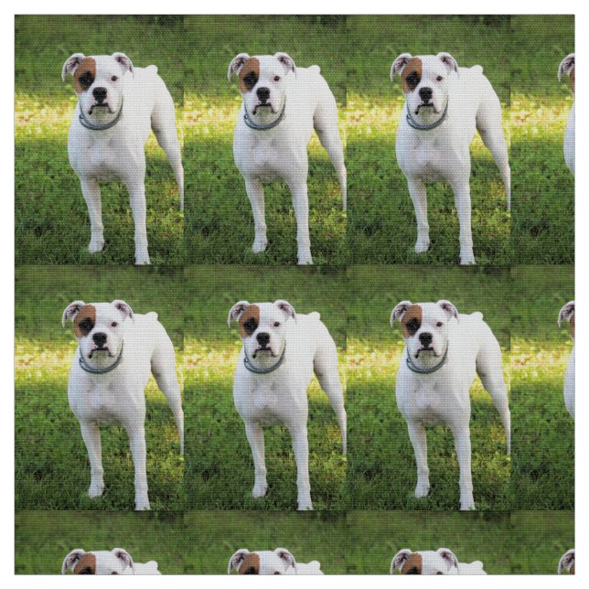 Boxer Tyg (Provkarta)