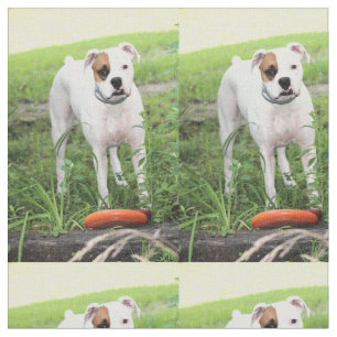 Boxer Tyg