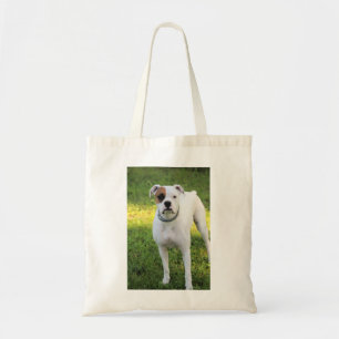 Boxer Tygkasse