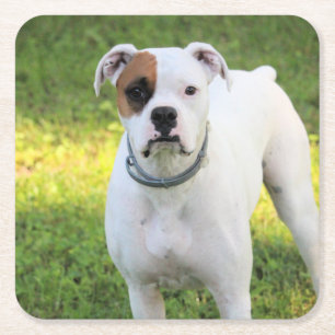 Boxer Underlägg Papper Kvadrat