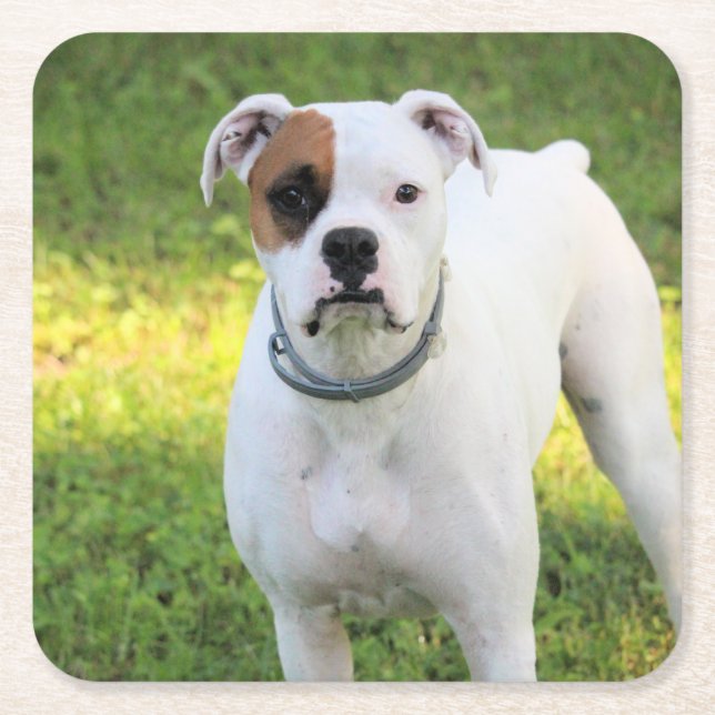 Boxer Underlägg Papper Kvadrat (Framsidan)