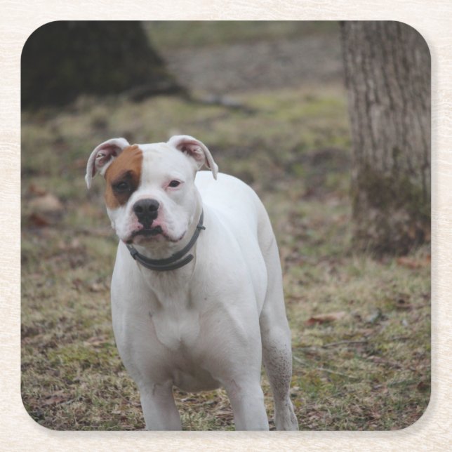 Boxer Underlägg Papper Kvadrat (Framsidan)