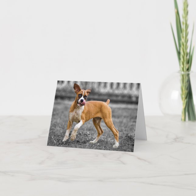 Boxer Valp Hund Blank Notkort Kort (Framsida)