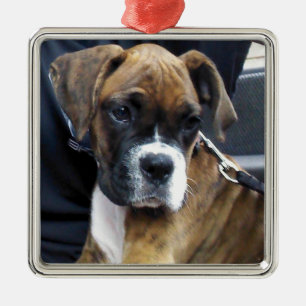 BOXER VALP prydnad Julgransprydnad Metall