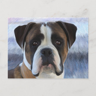 Boxer Vykort